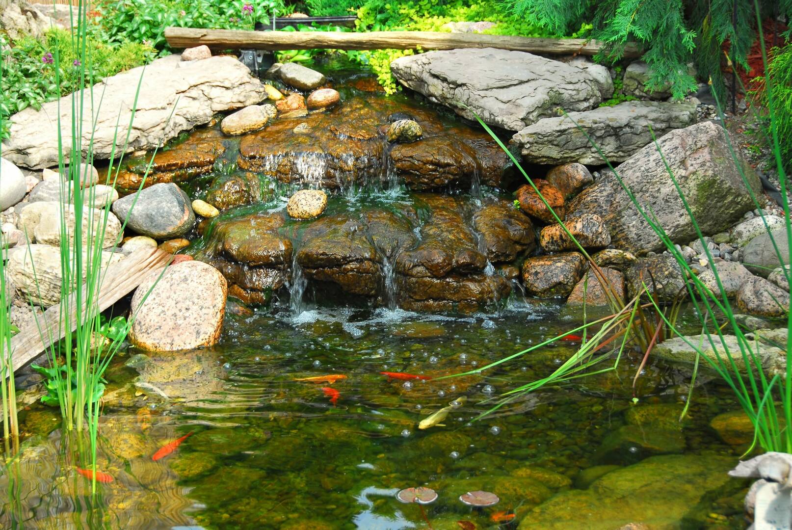 Lex Plant Farm & Garden Center