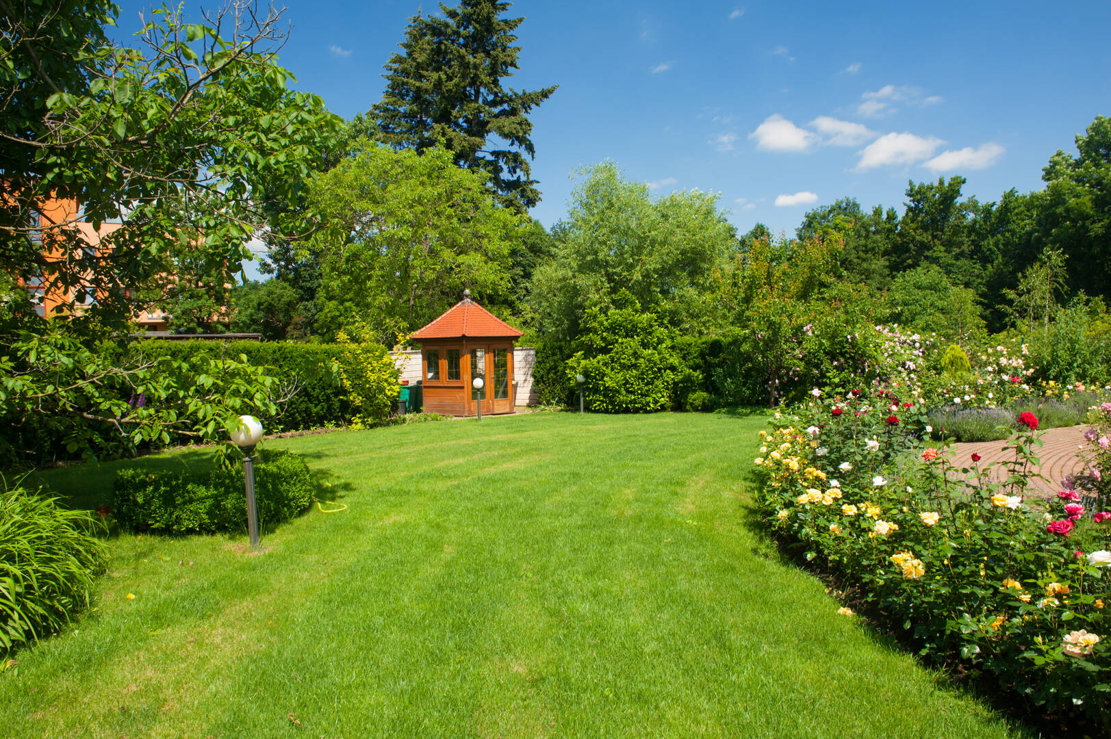 Zarco's Professional Tree Service