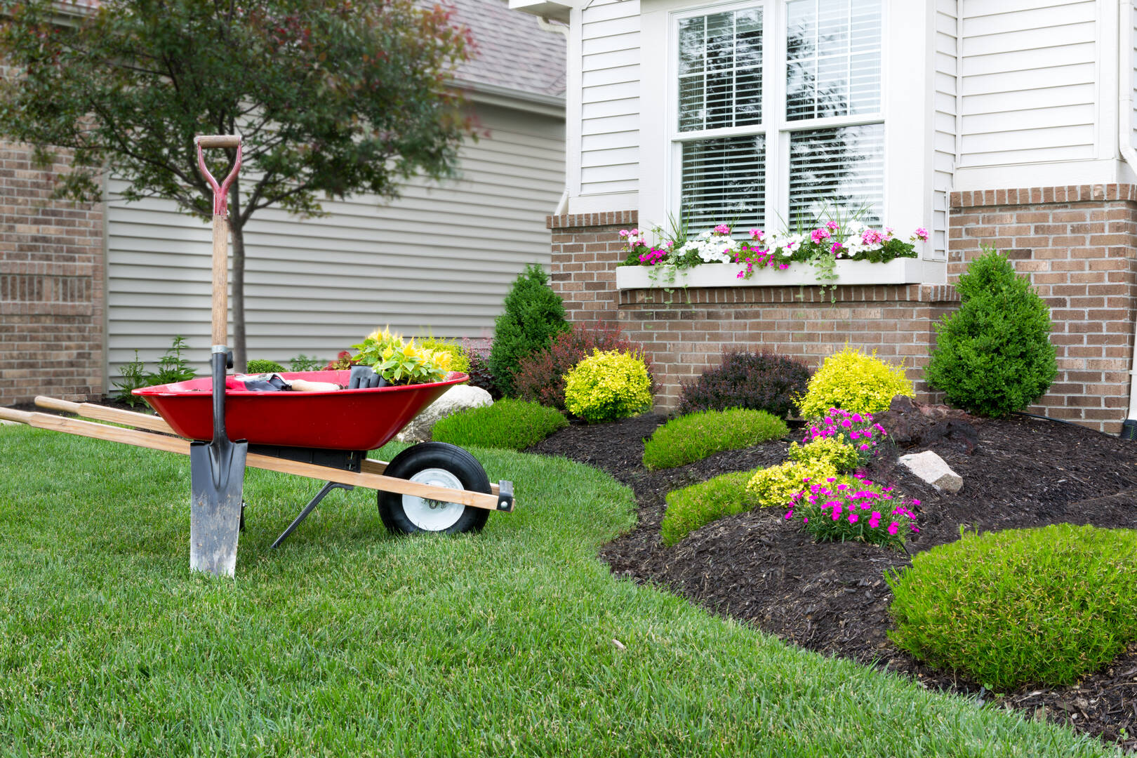 T M Landscaping