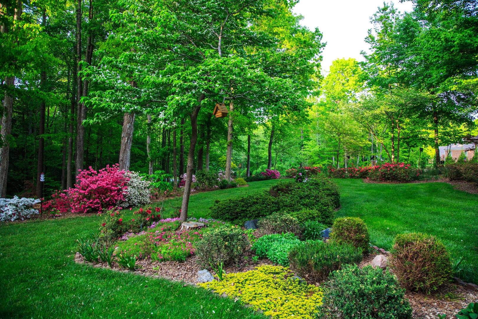 Daniel & Lawson Pest Control