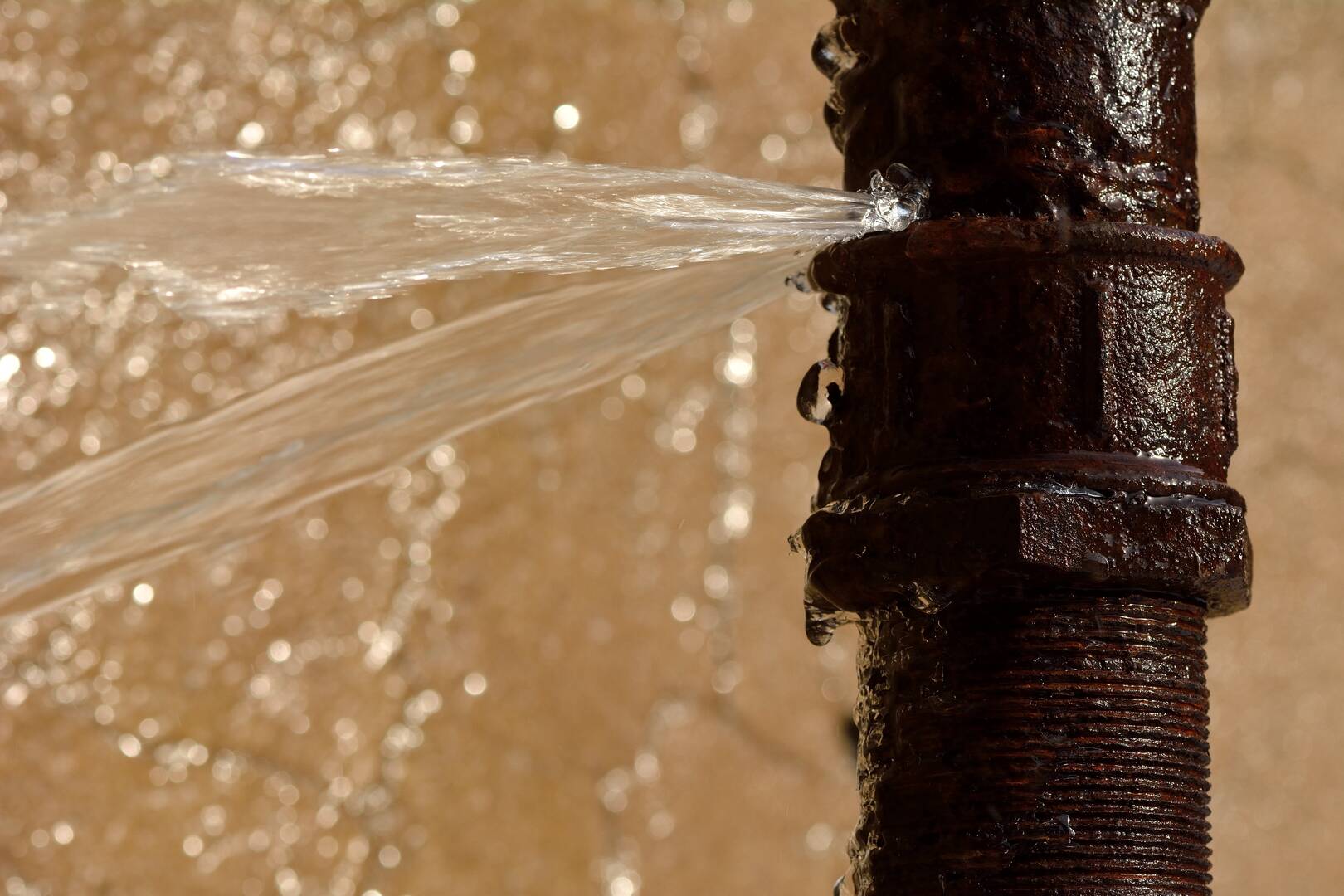 PrimeTime Plumbing Services