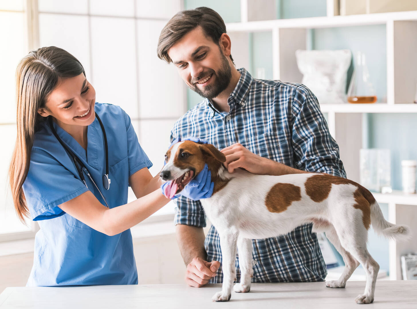 Murrells Inlet Veterinary Hospital