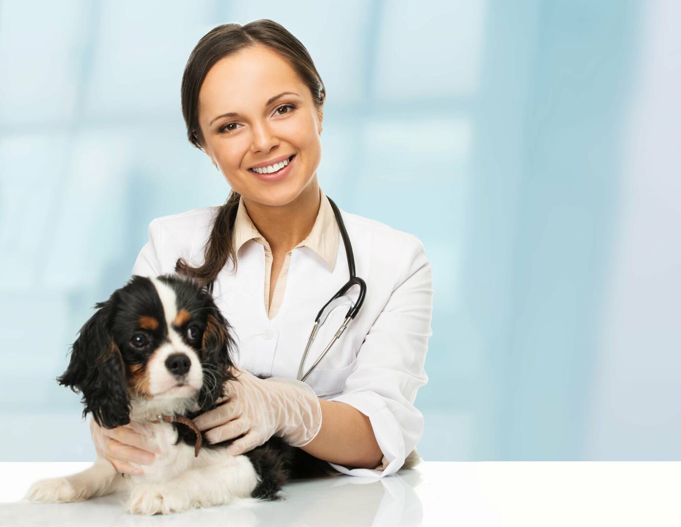 Indian Creek Veterinary Hospital